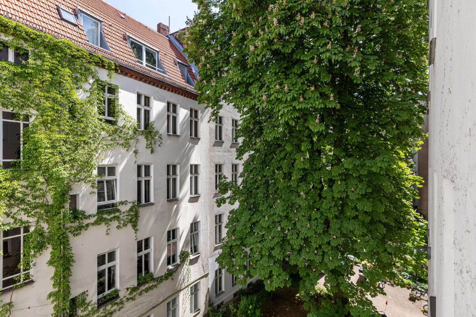 Fassade