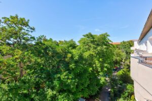 Ausblick Balkon